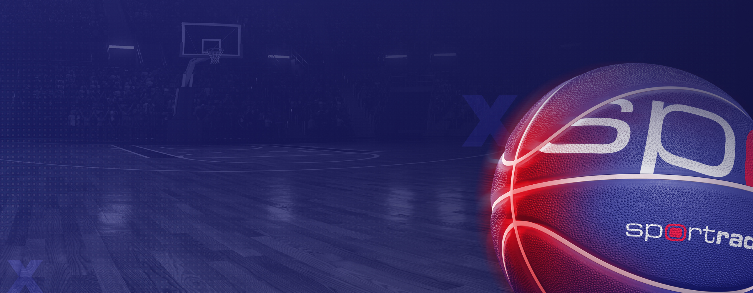 Sports Data Decorative Header